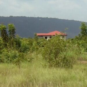 Dodowa land for sale