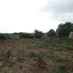 Squared Estates Oyibi Land