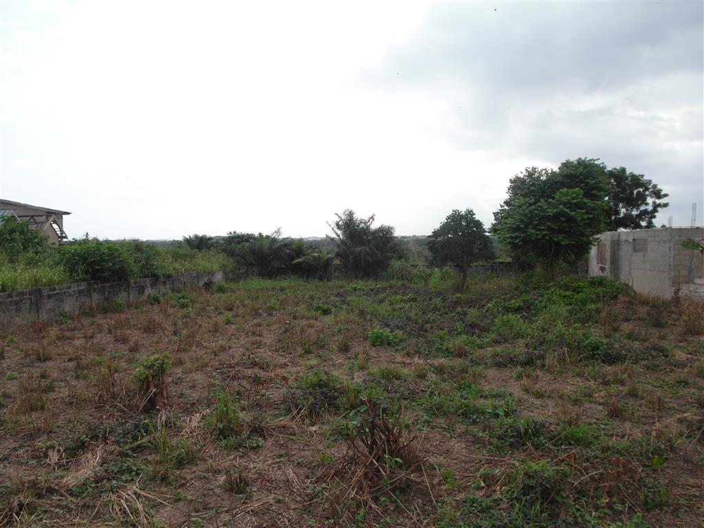 Squared Estates Oyibi Land